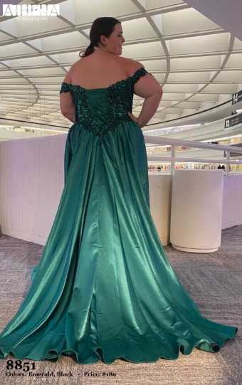 Abby Rose Style #8851 $1 thumbnail